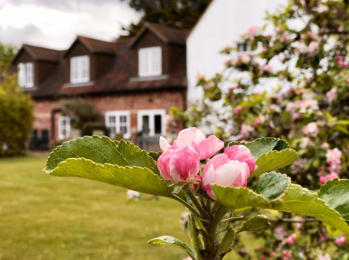 Hanger Down House Bed And Breakfast Arundel Exterior foto